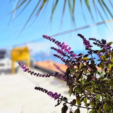 Eden Sun - A Modern Luxury With A Panoramic View