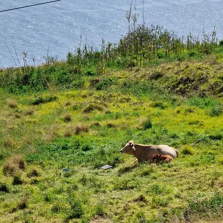 Villa Eden Sun - A Modern Luxury With A Panoramic View *