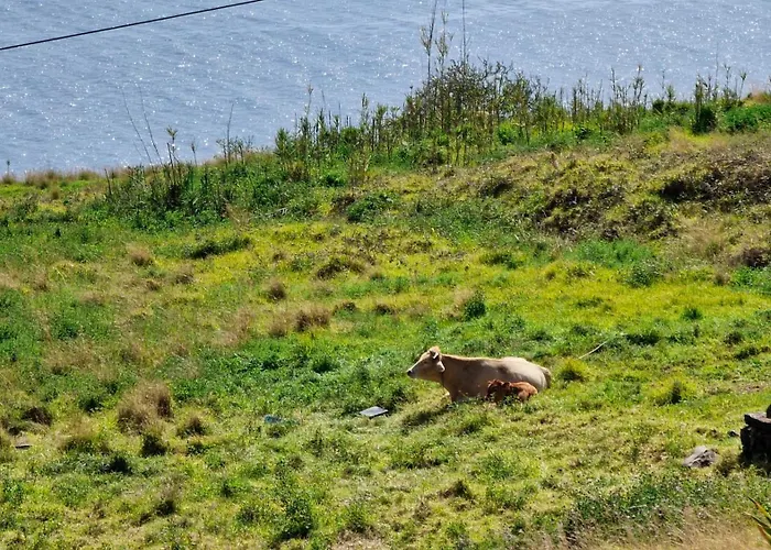 Villa Eden Sun - A Modern Luxury With A Panoramic View *