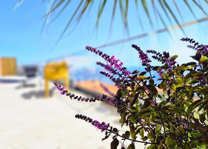 Eden Sun - A Modern Luxury With A Panoramic View